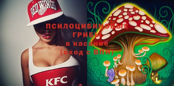прущие крисы Бугульма