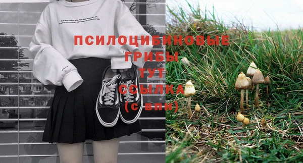 винт Бородино